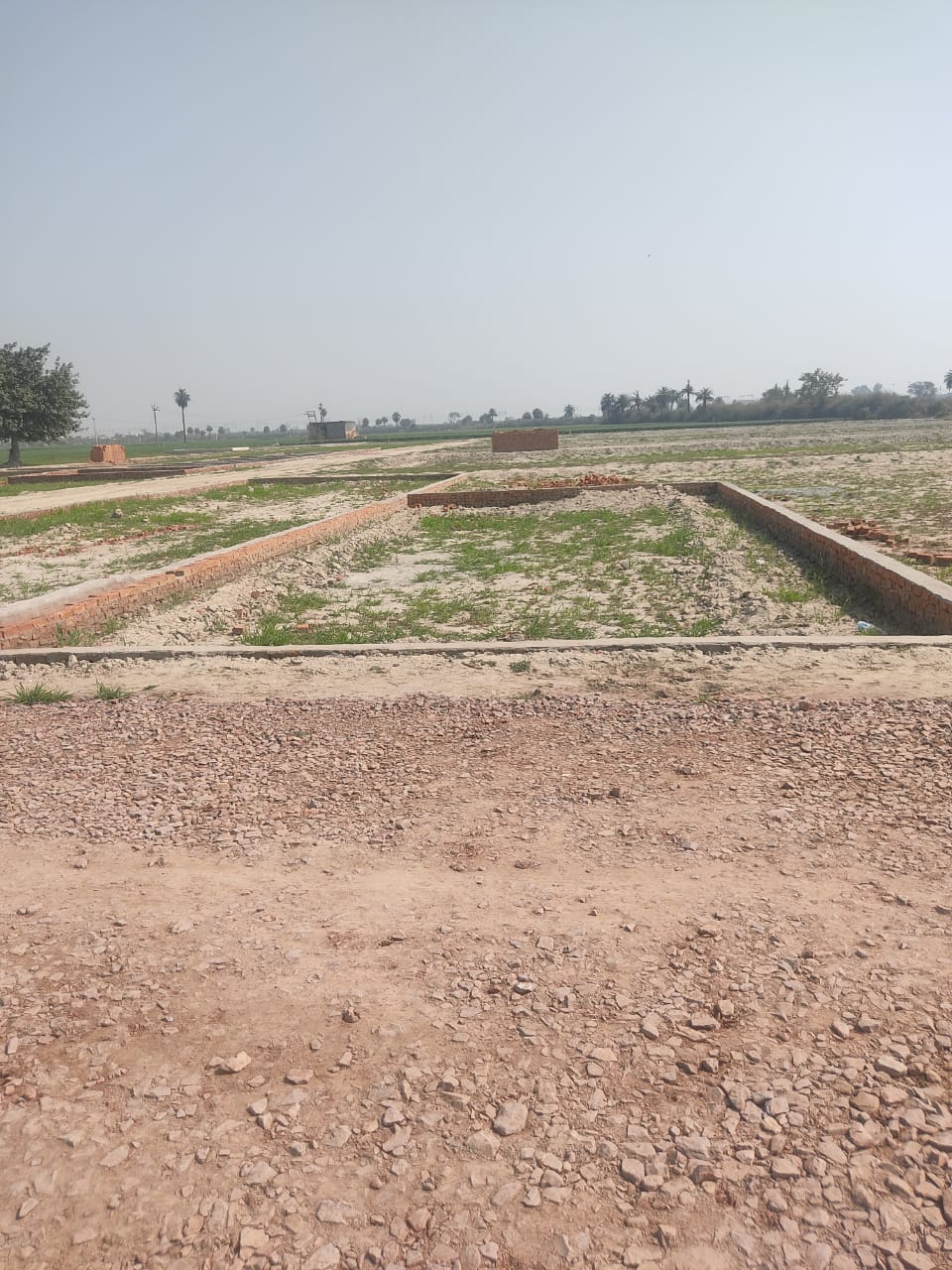 Plot For Resale in Sector 88 Faridabad  6790045