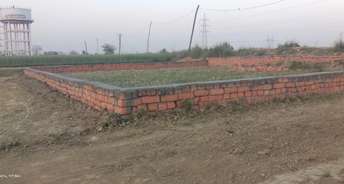  Plot For Resale in Puraini Mirzapur 6790199