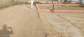 Plot For Resale in Puraini Mirzapur  6790199