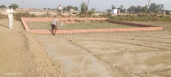 Plot For Resale in Puraini Mirzapur  6790199