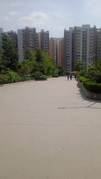 3 BHK Apartment For Rent in Nawada Village Faridabad 6790297