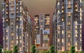 3 BHK Apartment For Rent in Vajra Jasmine County Gachibowli Hyderabad 6790404