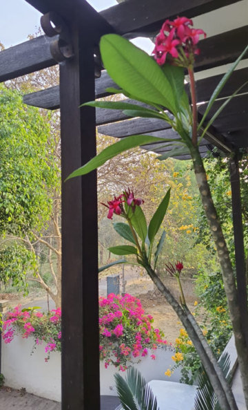 रेसिडेंशियल विला वर्ग मीटर फॉर रीसेल इन जीएन स्वर्ण नगरी ग्रेटर नोएडा  6790477