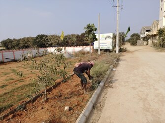 रेसिडेंशियल प्लॉट वर्ग यार्ड फॉर रीसेल इन शादनगर हैदराबाद  6790573