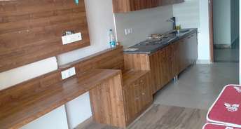 1 RK Apartment For Rent in Paramount Golfforeste Gn Sector Zeta I Greater Noida 6790859