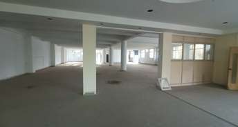 Commercial Industrial Plot 450 Sq.Yd. For Rent In Imt Manesar Gurgaon 6790939