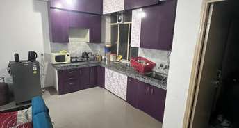 2 BHK Apartment For Rent in Lotus Homz Sector 111 Gurgaon 6790986