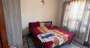 2 BHK Independent House For Rent in Aerocity Mohali 6791047