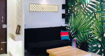 1 BHK Apartment For Rent in Assetz Lifestyle 63 East Sarjapur Bangalore 6791420