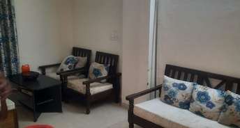 1 BHK Apartment For Rent in Vip Road Zirakpur 6791685
