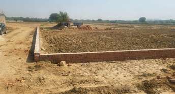  Plot For Resale in Dankaur Inner Township Dankaur Greater Noida 6792074