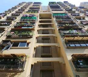 2 BHK Apartment For Rent in Powai Cosmopolitan CHS Powai Mumbai 6792701