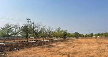  Plot For Resale in Paras ONE33 Sector 133 Noida 6792726
