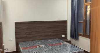 2 BHK Builder Floor For Rent in AS Tower Sector 45 Gurgaon 6792972