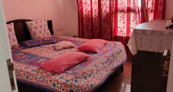 2 BHK Apartment For Rent in Mittal Pebbles High Mont Hinjewadi Pune 6793187