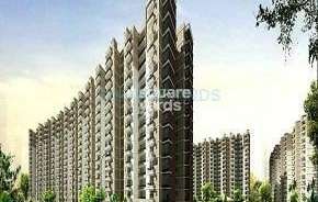 3 BHK Apartment For Rent in Today Ridge Residency Sector 135 Noida 6793167