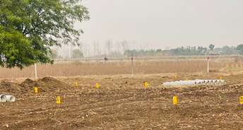  Plot For Resale in Wardha rd Nagpur 6793154