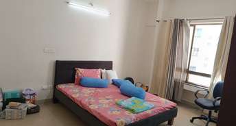 1 BHK Apartment For Rent in Paranjape Blue Ridge Hinjewadi Pune 6793500