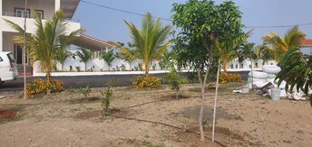 Plot For Resale in Chevalla Hyderabad  6793904