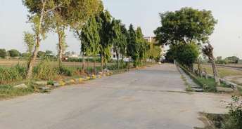 Plot For Resale in Aimnabad Greater Noida 6794105