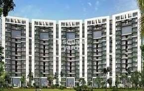 3 BHK Apartment For Rent in Tulip Violet Sector 69 Gurgaon 6794234