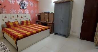 4 BHK Builder Floor For Rent in Green Fields Colony Faridabad 6794295