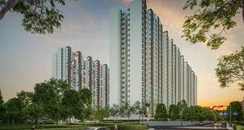 3 BHK Apartment For Resale in Punawale Pune 6794338