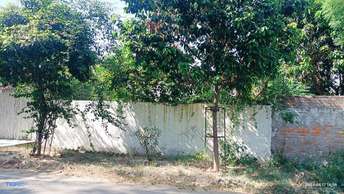 Plot For Resale in Sector 105 Noida  6794311