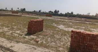  Plot For Resale in Bhopani Village Faridabad 6794344