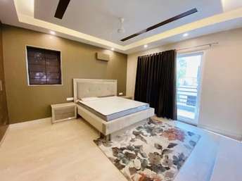 2 BHK Apartment For Rent in Lotus Homz Sector 111 Gurgaon  6794558