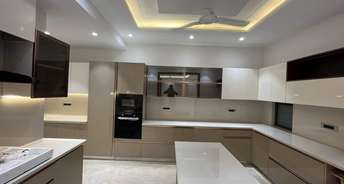 2 BHK Apartment For Rent in Cosmos Executive Sector 3 Gurgaon 6794577