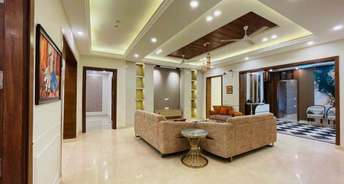3 BHK Apartment For Rent in Cosmos Executive Sector 3 Gurgaon 6794583