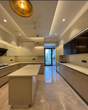 1 BHK Apartment For Rent in Ansal Celebrity Suites Sector 2 Gurgaon 6794594