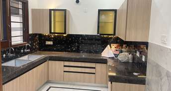 2 BHK Apartment For Rent in Lavasa Green Lohgarh Zirakpur 6794610
