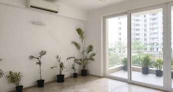 4 BHK Apartment For Rent in Anant Raj Maceo Sector 91 Gurgaon 6794724