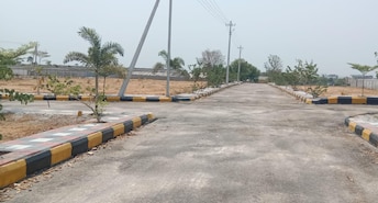 Plot For Resale in New Nallakunta Hyderabad  6794803