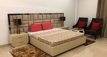 1 BHK Builder Floor For Rent in DLF Atria Dlf Phase ii Gurgaon 6794823