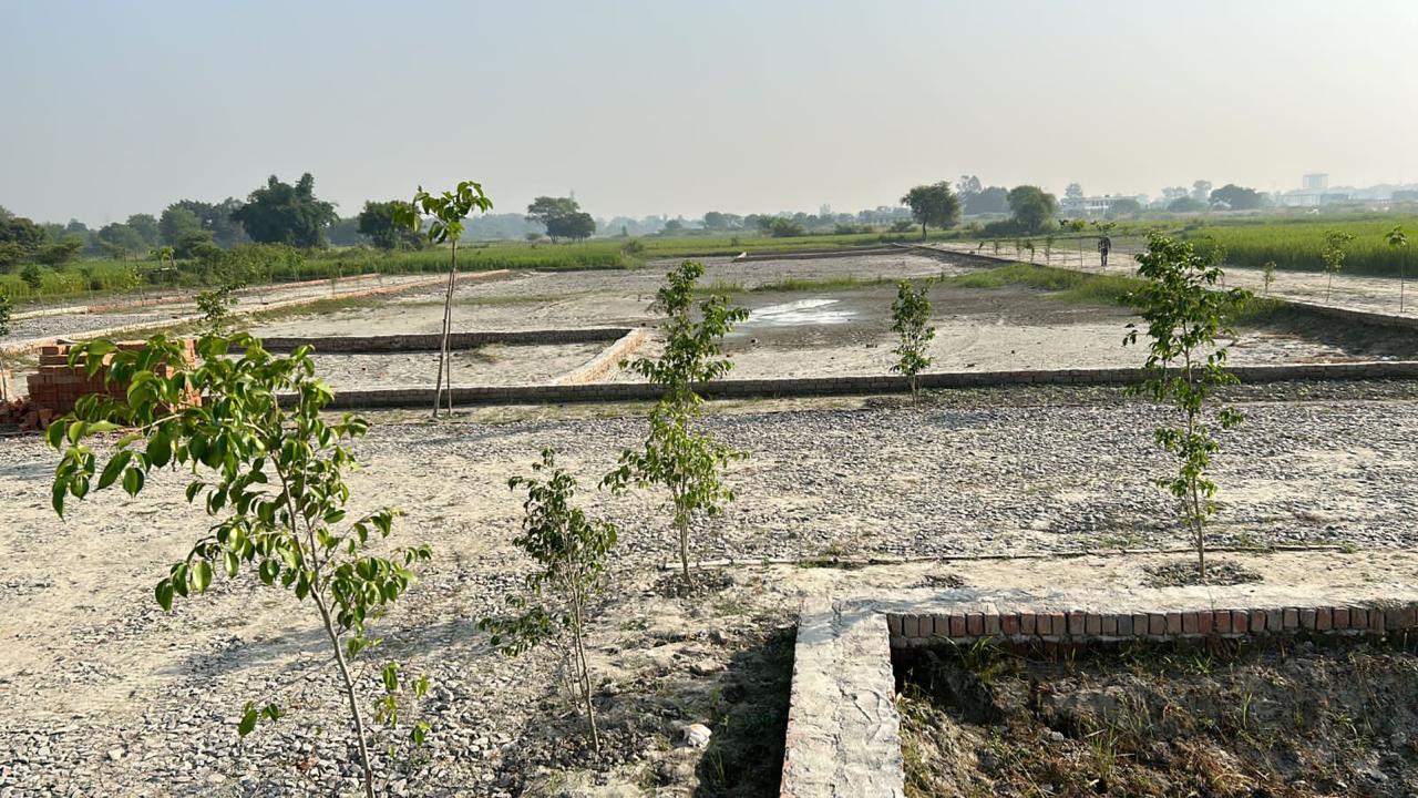 Plot For Resale in Sevai Lucknow  6795005