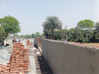 Plot For Resale in Jajru Faridabad  6795424