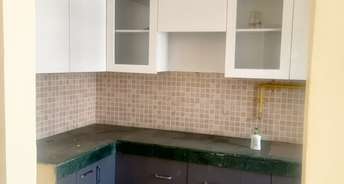 2 BHK Apartment For Resale in Jaypee Greens Kosmos Sector 134 Noida 6795441