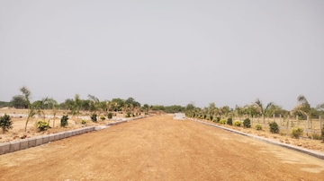 Plot For Resale in Veltur Sadashivpet  6795712