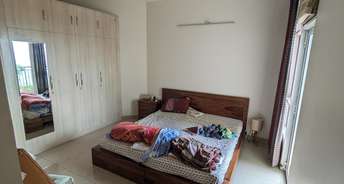 3 BHK Apartment For Rent in Indosam75 Sector 75 Noida 6795696