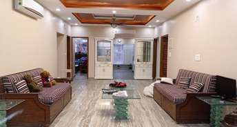 4 BHK Apartment For Rent in C4 Vasant Kunj Vasant Kunj Delhi 6795805