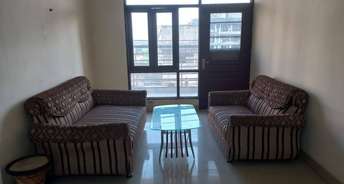 2 BHK Apartment For Rent in TDI City Kingsbury Kundli Sonipat 6796057
