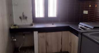 1 BHK Builder Floor For Rent in DLF Qerwa Sector 28 Gurgaon 6796145