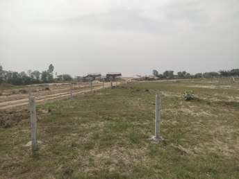  Plot For Resale in Yamuna Expressway Greater Noida 6796739