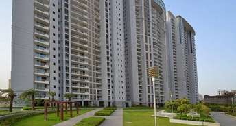 4 BHK Apartment For Rent in DLF The Belaire Sector 54 Gurgaon 6797069