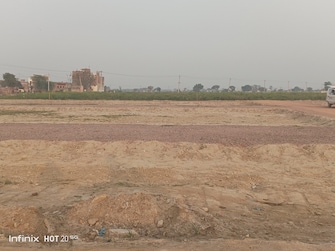 Plot For Resale in Feroz Gandhi Nagar Faridabad Faridabad  6797215