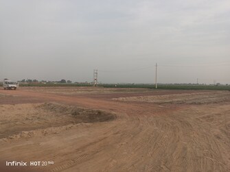 Plot For Resale in Feroz Gandhi Nagar Faridabad Faridabad  6797215