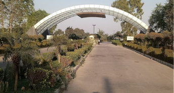  Plot For Resale in Sector 35 Sonipat 6797961